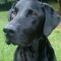 Rik Stevens (@rikstevensap) 's Twitter Profile Photo