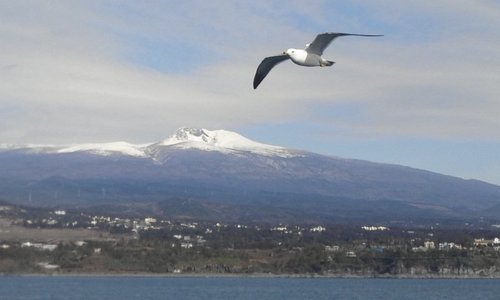 chwa1948's profile picture. 