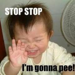 The Funniest jokes in the world!