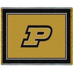 The Purdue Tapestry Workshop 2013 will be held July 10-12. Attract, inform, and engage your students in the exciting and rewarding field of computing!