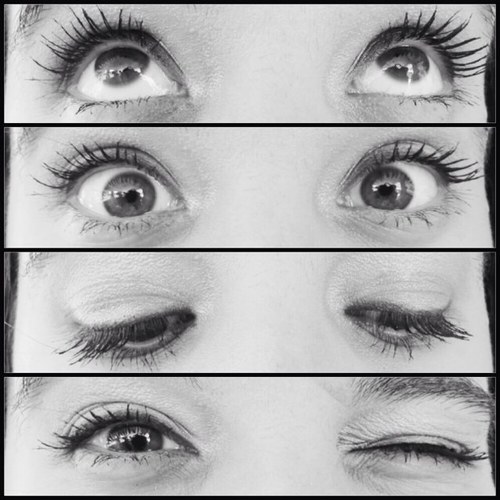 trappedexplorer's profile picture. Will you fly away with me? North of America, hard to ignore