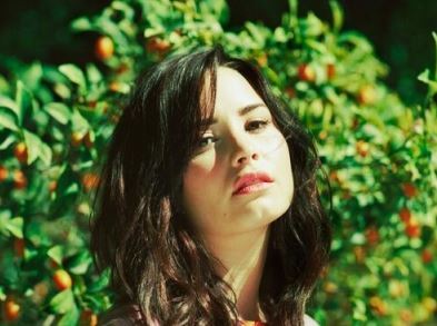 Lovatic, Harmonizer, Directioner, Overloader, Kélover e Sismancer...sim, sou obsessiva