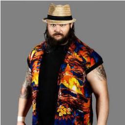 My name is Bray Wyatt WWE superstar i have a family called The Wyatt Family we are here fear us RP/Taken by @yooo_justin
