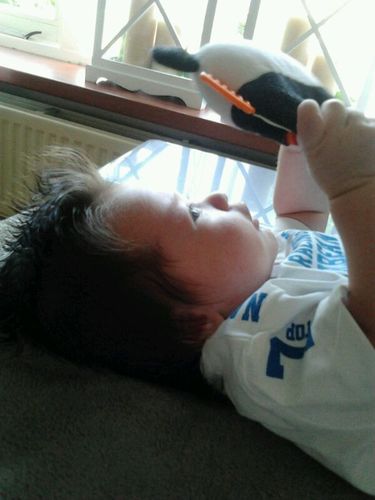 Harwig installatiegroep/ koi-liefhebber/lid van nishikigoi vereniging nederland/ samenwonend met Wendy en papa van onze zoon Danel!