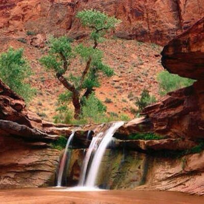 شعر ذوق Dedo0007 Twitter