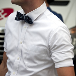 dualcoaster's profile picture. 