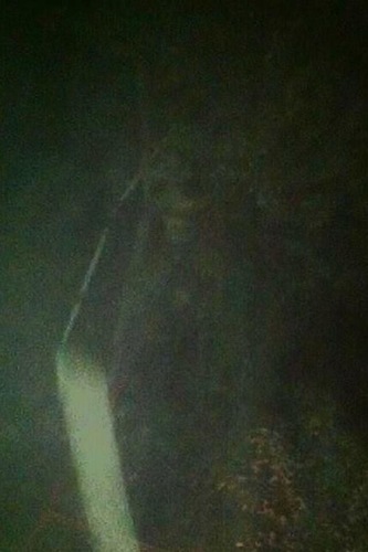 We are a group seeking the truth about the paranormal. We are getting a group together  to investigate the truth behind the paranormal world.