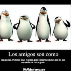 Sigueme y te sigoooo :D