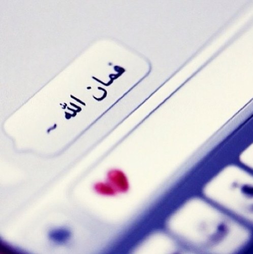 تم إلغاء الحساب ، أستودعكم الله الذي لا تضيع ودائعه و أتشرف بمتابعتكم على حسابي الجديد 222alrouh@