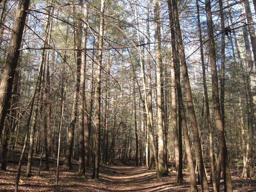 Weekends are for hiking. Hiking tips, photos, and trip ideas.