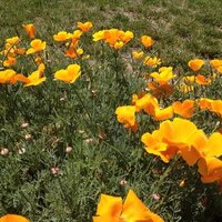 Julie (@julieboesch) 's Twitter Profile
