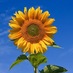 EMEAC (@emeac) Twitter profile photo
