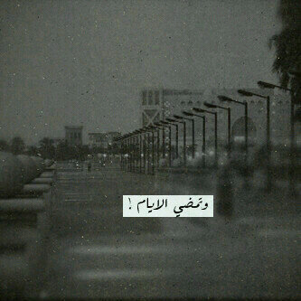 PiN:2B53F197
