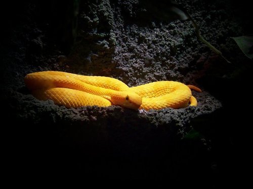 Javierlvarez5's profile picture. 