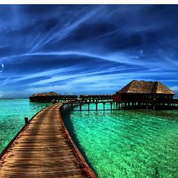 Life has many turns, speed bumps & traffic lights. sometimes you have to stop and look around you Follow your dreams, don't give up...