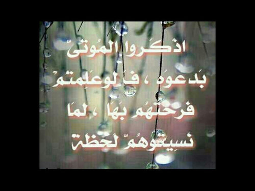 هذا الحساب صدقة للمغفور له بإذن الله عبدالعزيز الزيد .. رحمك الله يا عبدالعزيز وجمعنا بك في جنات النعيم
