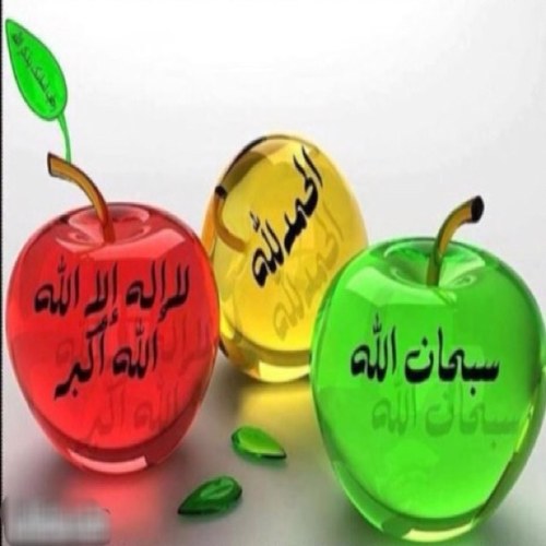 ⇡ۆ لـلـھِ ⇡ مِــــنّـــــا⇣ ټـڅـِــــــرُّ ⇣ ٱڵـڄــبـٱٱٱھ ☆;:*:;☆ ☆☆☆ ☆☆☆ أحــــ⇡ الصـالحـيــن⇡ــــب ,, ولـــســـــ' مـنـھـم 'ـــــتُ ☆☆
۩ ربِّ اغفر لےولوالدي ۩