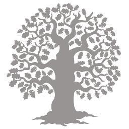 INIC is a Spanish immersion preschool in South Austin offering unique, advanced curriculum, experienced teachers and high tech security.
