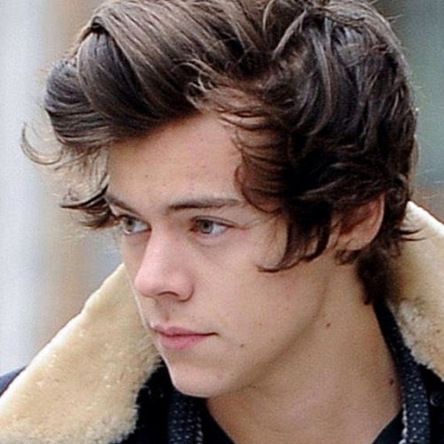 Harry Styles Roleplay; FAKE. |21| Single. From One Direction.