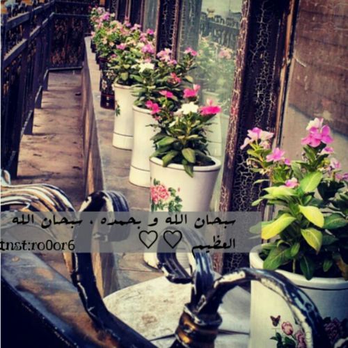 فتآة بالمتوسطة 68 فلةة احب الطقطقة ع خلق ربي مآ احش اذإ حشيت ف ذأ من خبلآتي وشقرًا ') my kik:ask me ~my instgram:LlaarRy44
