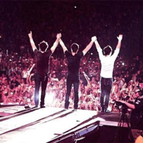 words cannot describe how much i love the jonas brothers ♡