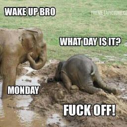 ravishjain6's profile picture. 