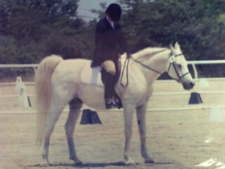 I specialize in Arabian Dressage, but ride many other disciplines too ~ Arabian Sport Horse, Main Ring  & A Circuit tweets
