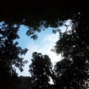 Keith Pfeffer - @Fefdaddy - Twitter