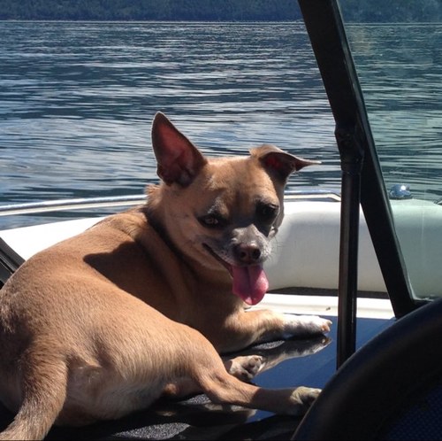 tentsgonabemad's profile picture. 