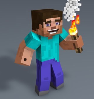 A TRUE MINECRAFTER. XBOX GAMER TAG-squidcraft101 , and please i did not pic the name :P