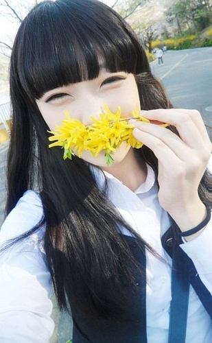 시노하 93