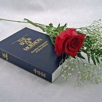 LDS Peacekeeper (@ldspeacekeeper) 's Twitter Profile