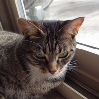 Everybody’s Doctor, Nobody’s Fool (@theflowbotomist) 's Twitter Profile