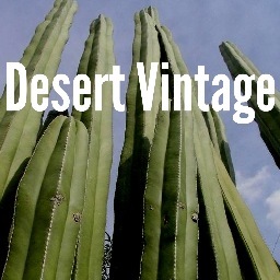 shopDV's profile picture. Vintage Clothing Boutique in Tucson, Arizona.