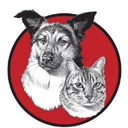 The Animal Rescue Organisation was established in 1986 specifically to relieve the suffering of township animals within the Cape Metropole