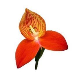 DISADEALS's profile picture. Promoting Businesses in South Africa to DISADEALS Premier Cardholders.  Discounts on everything 24/7 365.  Get your Card today disadeals .com