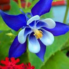 Heena4321 Profile Picture