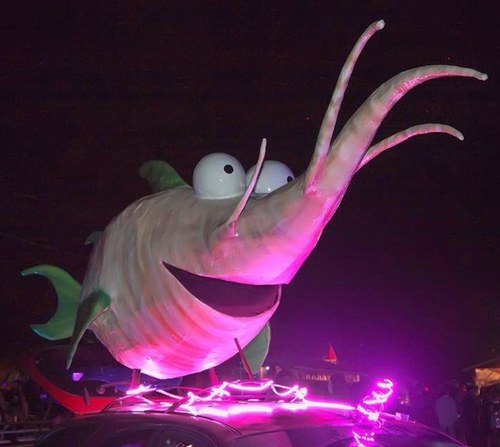 I'm just a sweet, discreet #GMO Sugar Beet swimming down DC streets! #AreWeEatingFishyFood? #LabelGMOs! Will stop for photo-ops! Tweet ur beautiful photos @me!