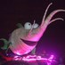 FishySugarBeet (@fishysugarbeet) Twitter profile photo