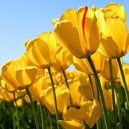 nisya99845157's profile picture. call me nisya