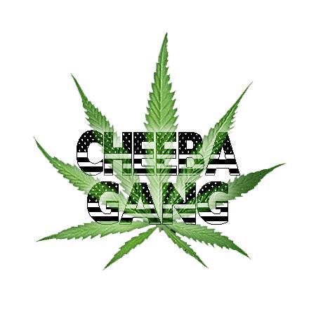 Producers | Artist |  #CheebaGanG | Follow Us @BeezyStreetz @CJTopOff @CheebaBoyJay