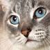 R & L Pet Products (@rlpetproducts) Twitter profile photo R & L Pet Products (@rlpetproducts) Twitter profile photo