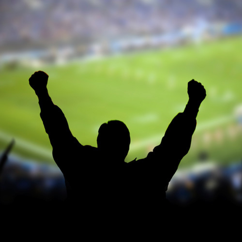 eBooks for sports fans. All sorts of sports stories from 1914 to 2013.