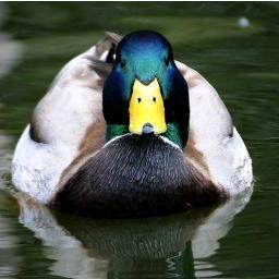 Give me all your bread