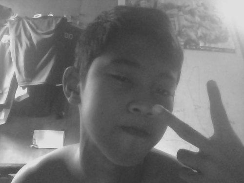 ApiscOoL2's profile picture. 