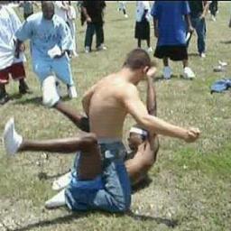 Watch the best and craziest fights