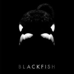 Blackfish