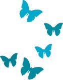 The Butterfly Room is an exclusive hair design studio, set in North Hailsham our friends are from near & far.