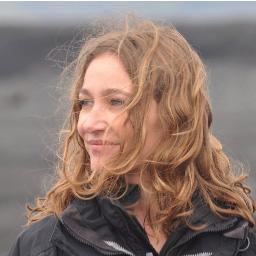 Artistic Director, Reykjavik Arts Festival