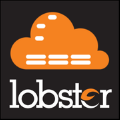 Virtual Servers for web and graphic designers. Reliable, secure and affordable. A REAL income from a Virtual Server